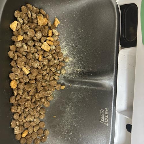 猫结石吃什么药