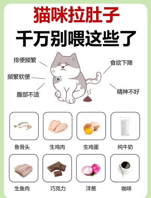 猫咪拉肚子可以吃什么