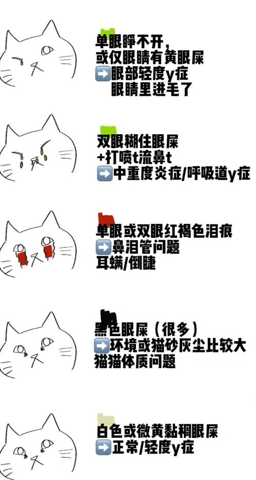 猫咪上火有眼屎怎么办