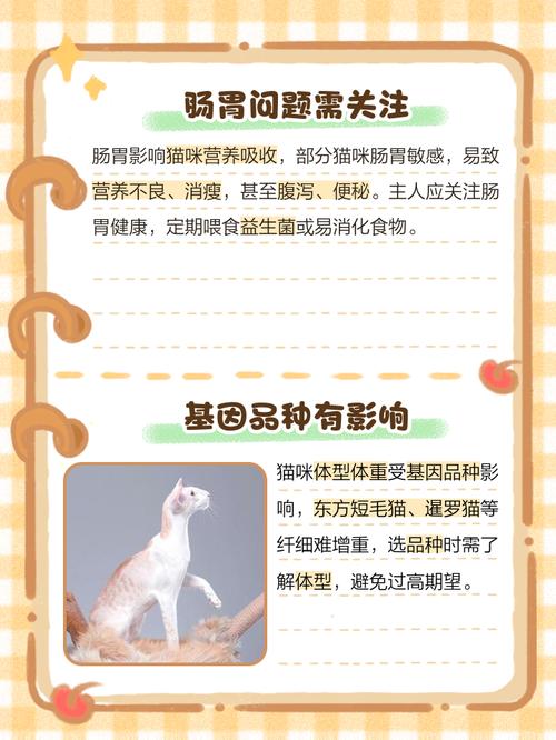 猫越来越瘦了怎么回事