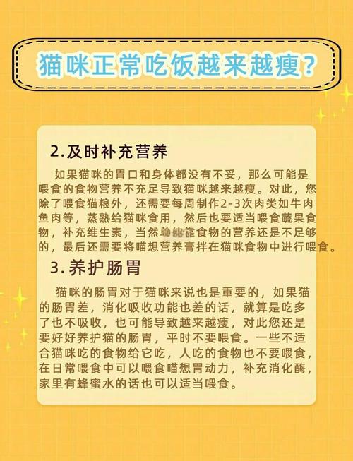 猫咪突然瘦了是什么原因