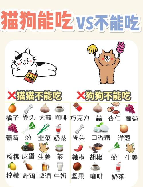 夏天家里的猫猫狗狗不爱吃饭、变瘦,是正常的嘛?该如何给它们调整饮食...