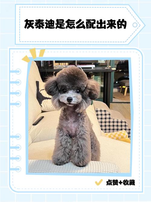 狗交配需要多长时间?