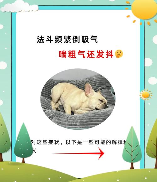 狗狗为什么吸气时发抖的厉害