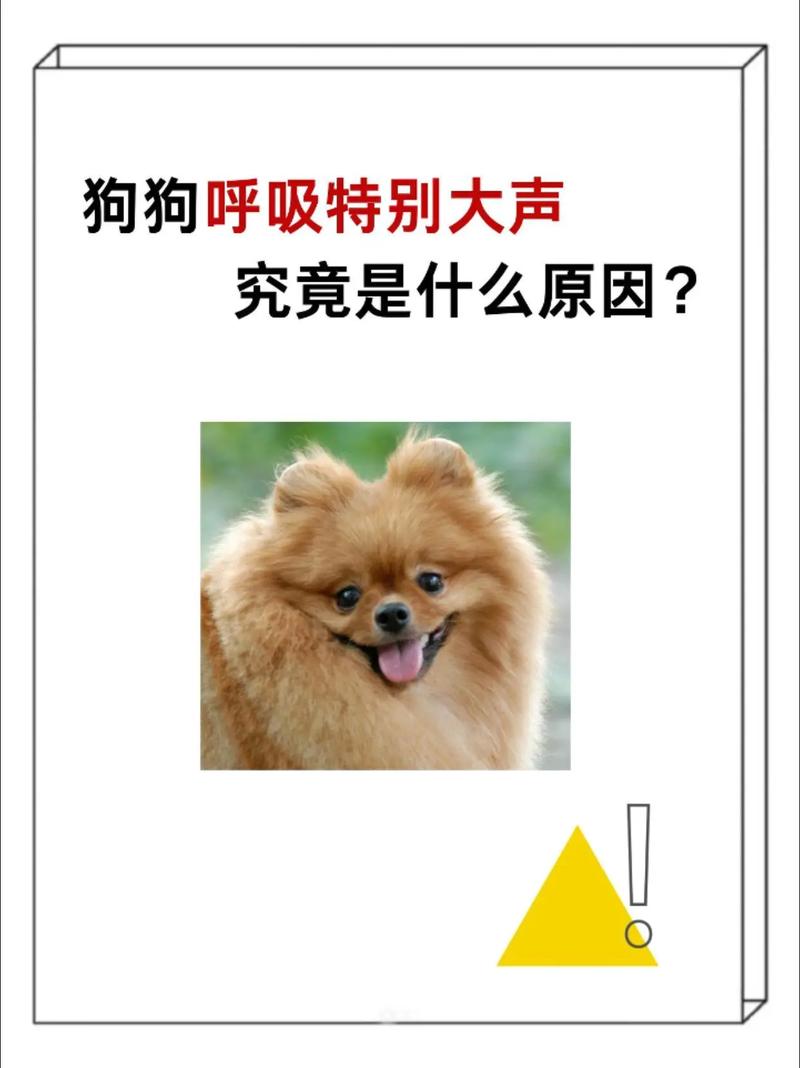 狗狗颤抖都是有原因的!