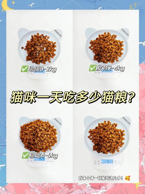 猫咪多大吃成猫粮