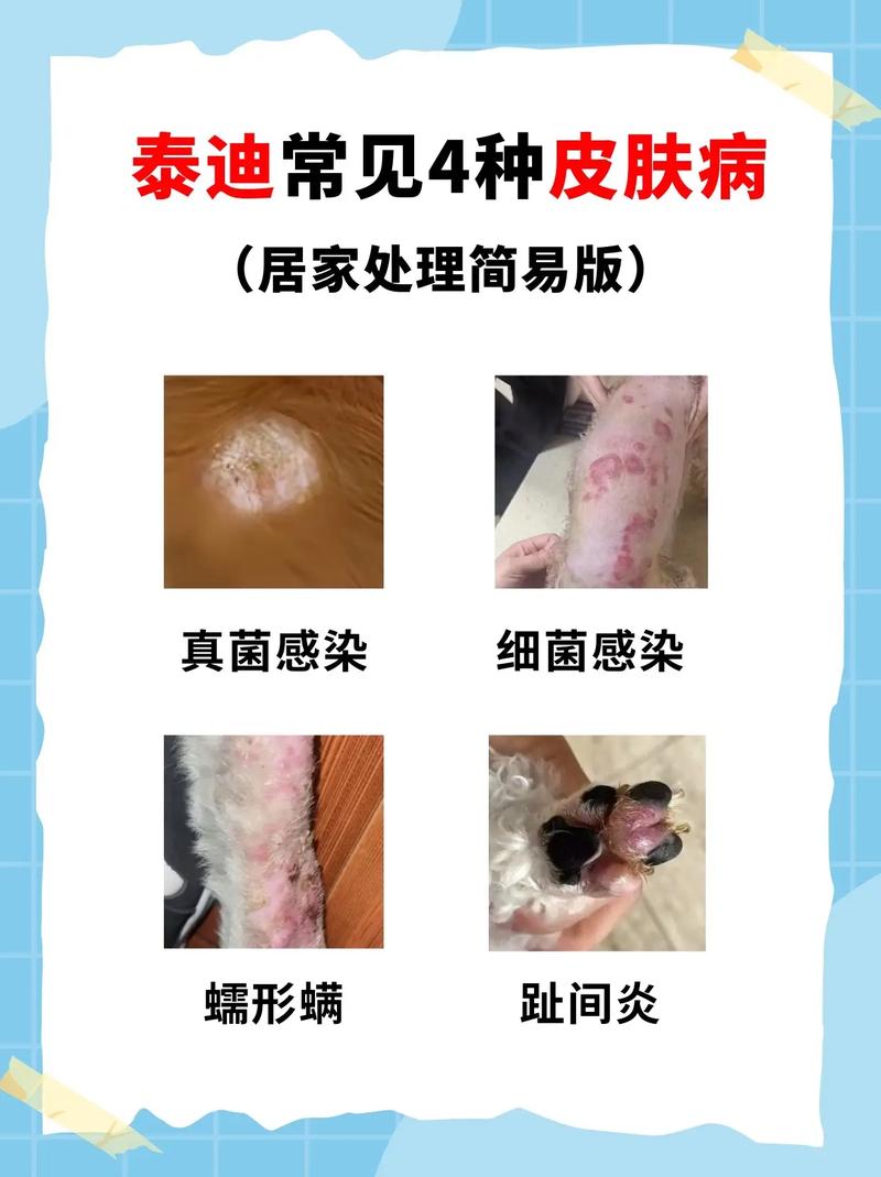 可以用痱子粉代替宠物泪痕粉吗?