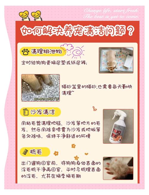 狗狗湿疹怎么治