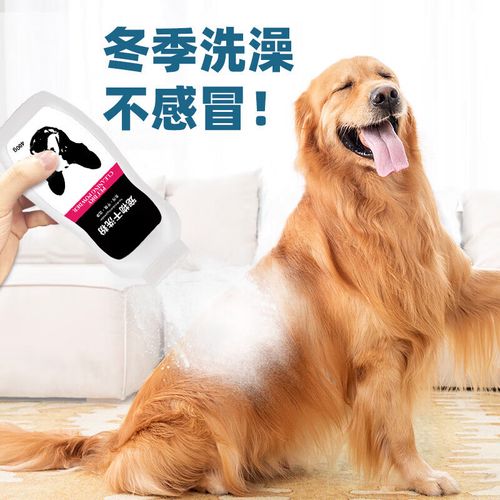 自制狗狗干洗粉的两种方法