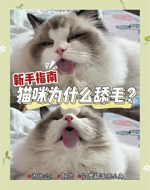 猫咪为什么喜欢舔毛?