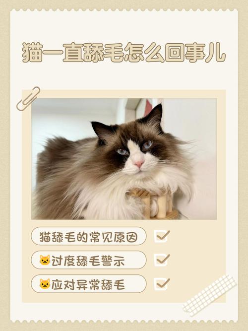 为什么吸完猫咪猫咪就舔毛
