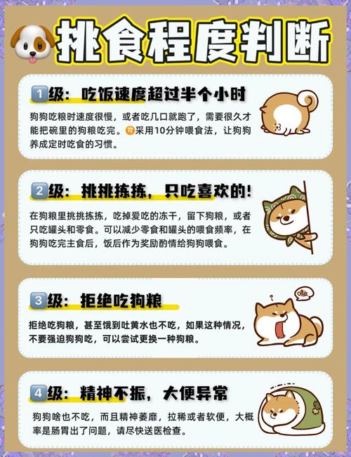 狗狗好像喂馋了,不吃狗粮怎么办