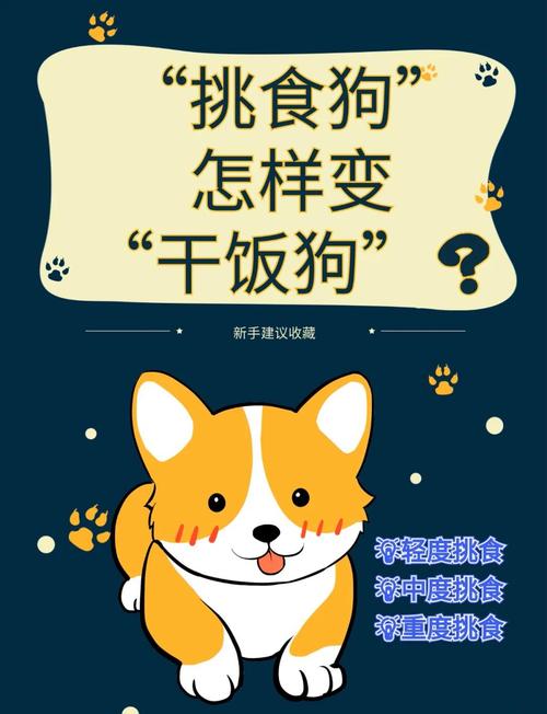 狗狗不愿意吃狗粮,只吃肉怎么办?