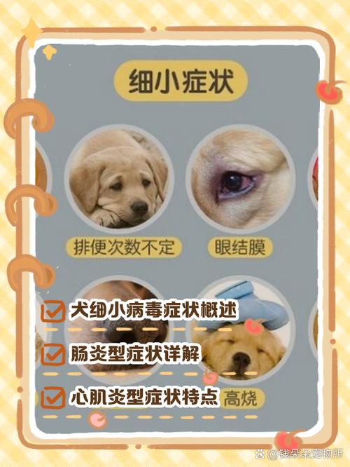 狗感染了细小病毒会有怎样的症状