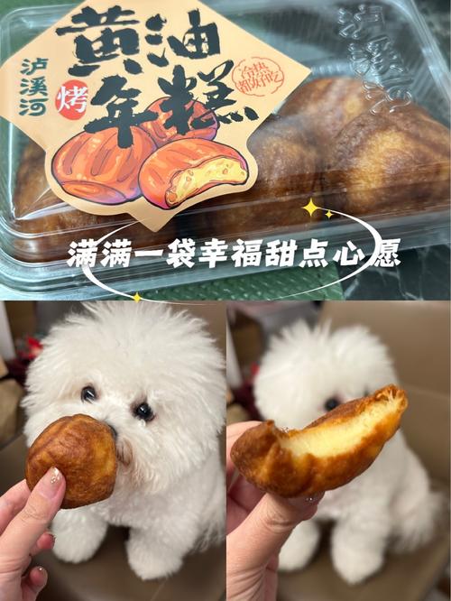狗能吃年糕吗
