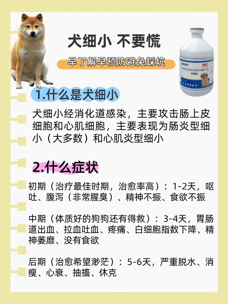我的狗狗得了细小怎么办