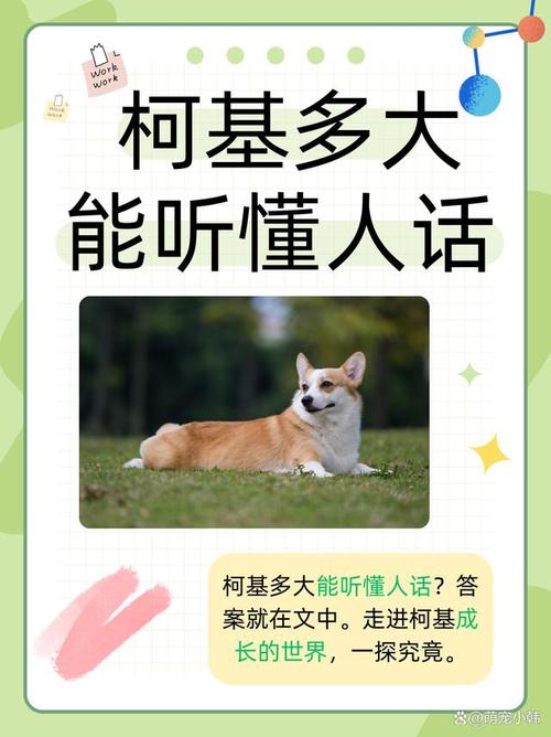 狗几个月听得懂人话