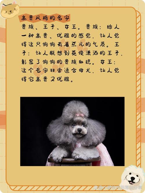 灰色泰迪起什么名字好?