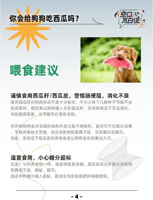 狗狗能吃瓜子吗?狗狗吃瓜子好吗?