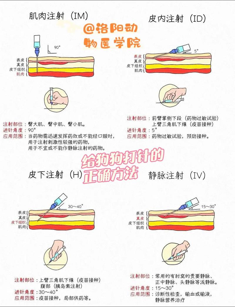 小狗打针是去宠物医院好,还是去防疫站好