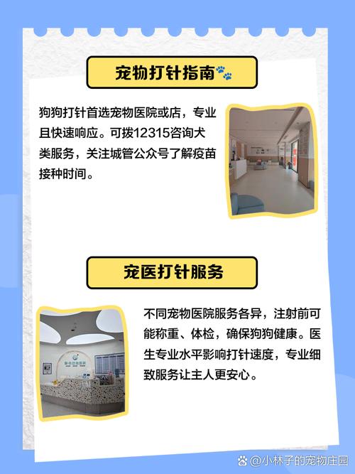 狗狗打针怎样打?