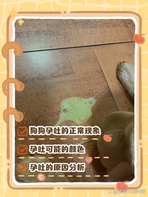 狗狗怀孕五十天会吐吗