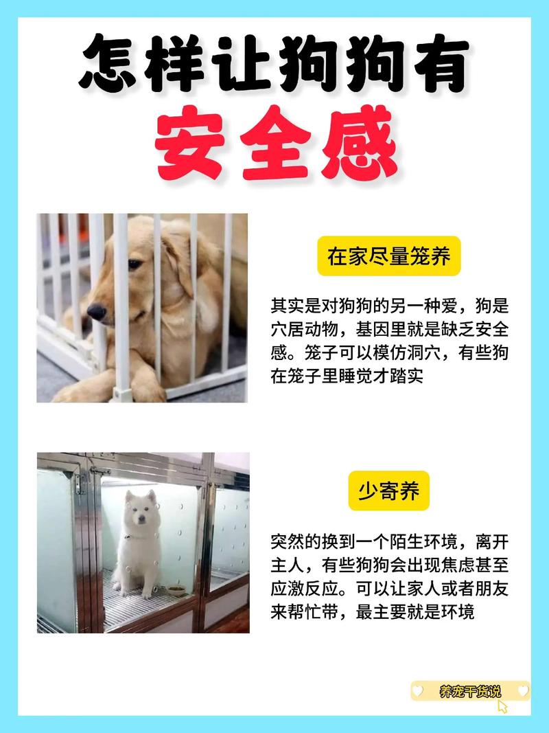 怎么建立狗狗的安全感