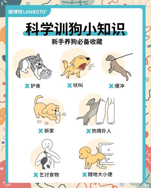 新到家的狗狗没安全感该怎么办?