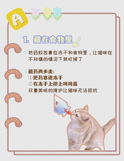 给猫咪怎么喂药?喂猫咪吃药小窍门!