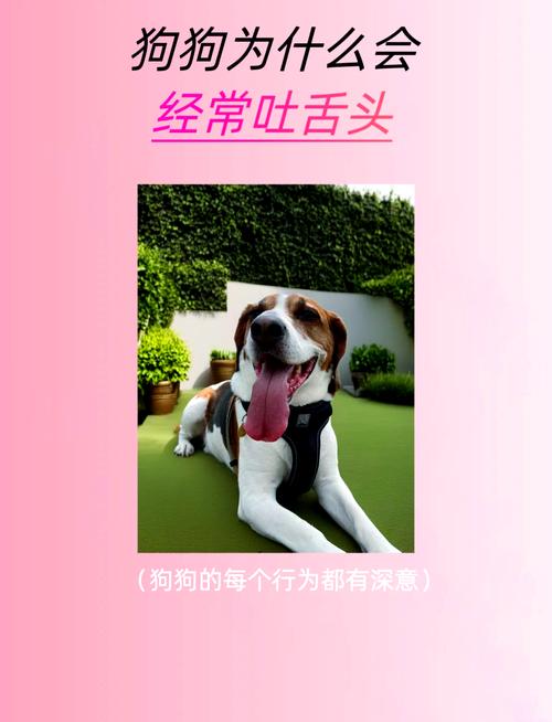 狗狗舌头一直伸在外面怎么办