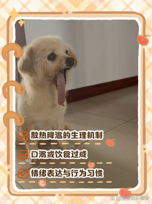 为什么抱狗狗狗喜欢伸舌头