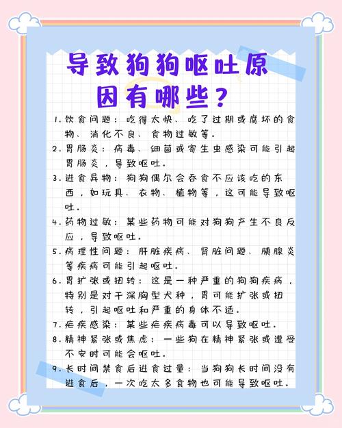 狗狗反刍是怎么回事?
