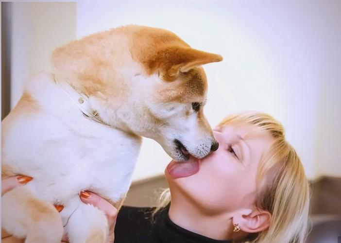 狗狗为什么舔人腿子