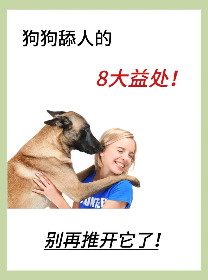 家里的狗狗为什么喜欢舔人?