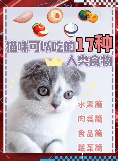 可不可以给猫咪吃蓝莓