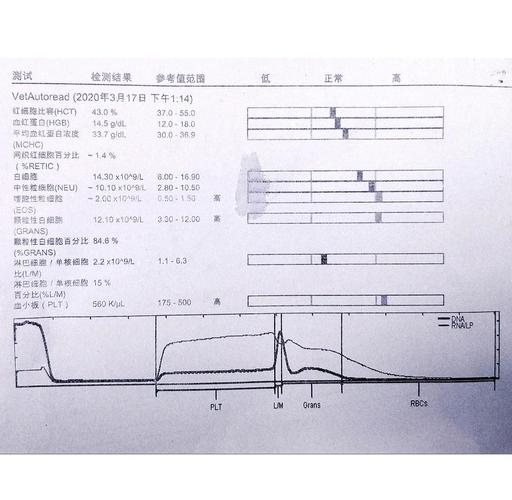宠物医院拍片子大概多少钱?