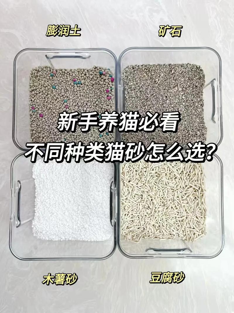 新手养猫不懂,猫砂大颗粒的好还是小颗粒的好?怎么选取啊!~