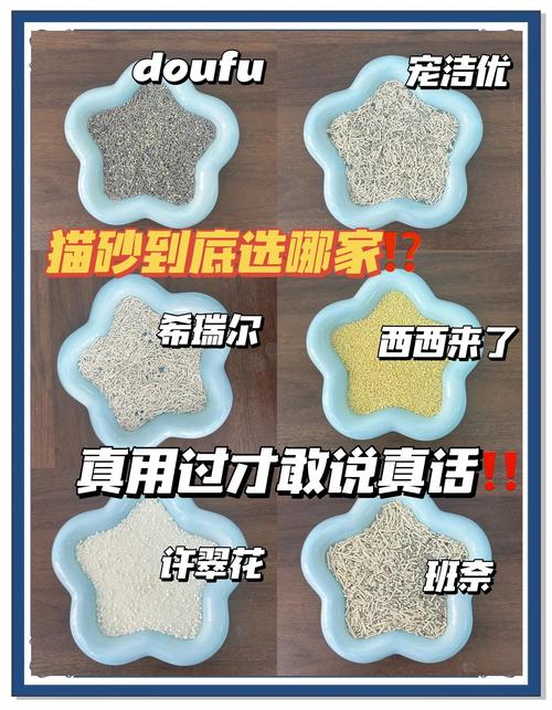 猫砂怎么选比较好?