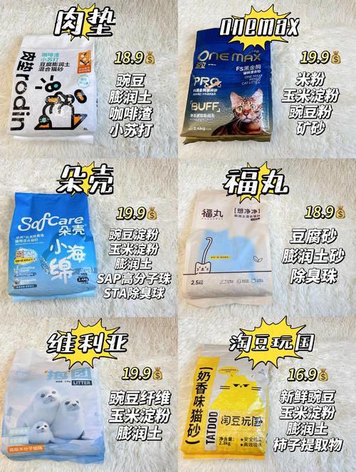 新手养猫怎么选猫砂?