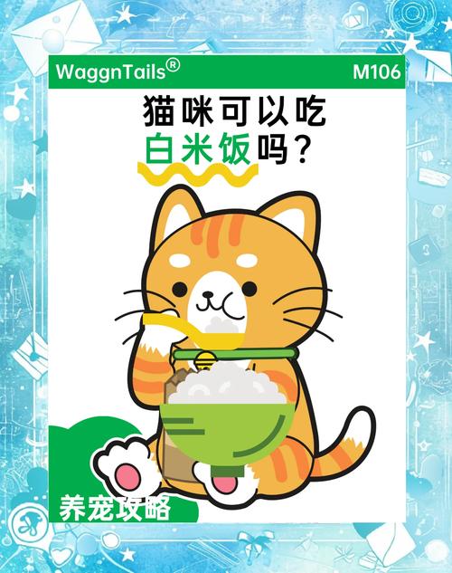 小猫多大可以自己吃饭啊?