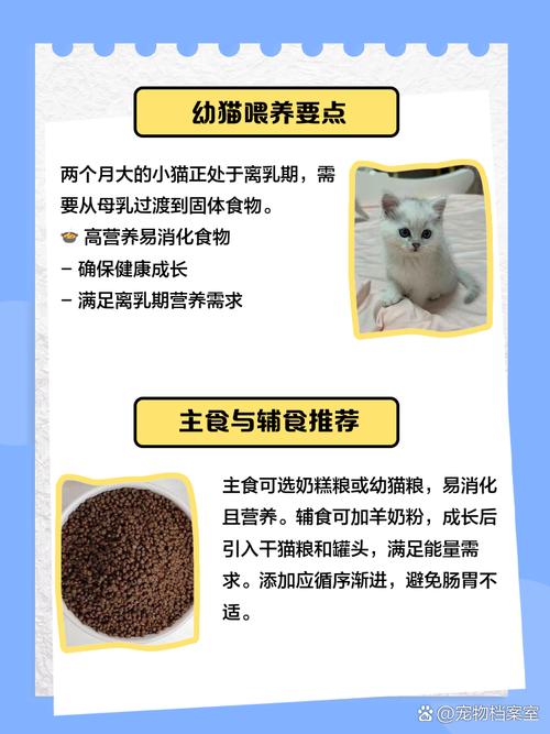 请问2个月大的猫,可以吃(干饭和稀饭)吗?加点小鱼干或鱼肉小猫会吃吗?还...