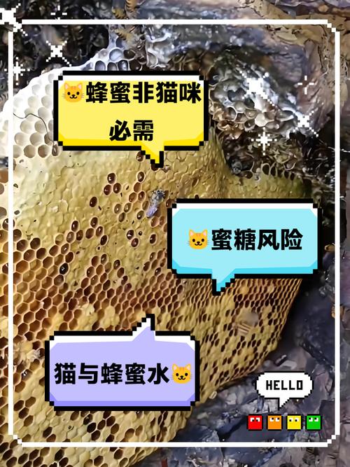 猫咪可以喝蜂蜜水吗