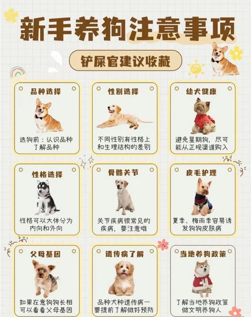 狗多大开始打疫苗