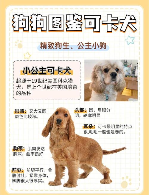 帮忙找找招财又不会显得俗气的狗狗名字