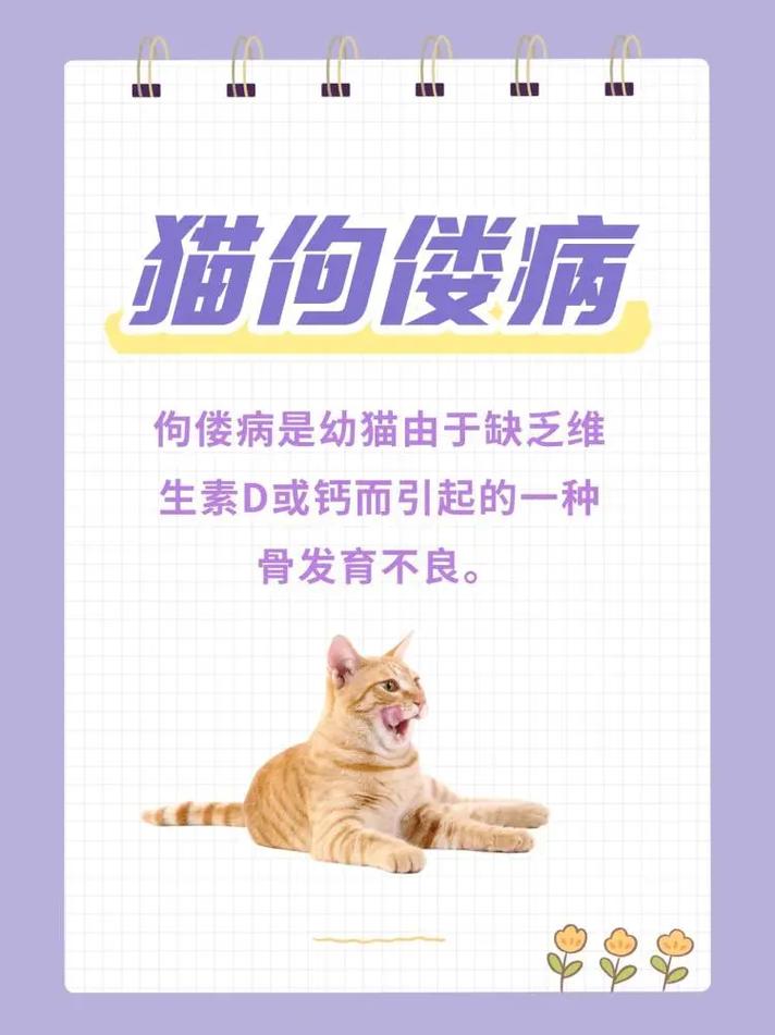 如何治疗猫咪佝偻病?