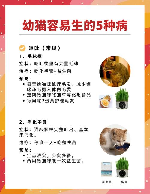 虎斑猫得了软骨病,初期会有哪些表现?