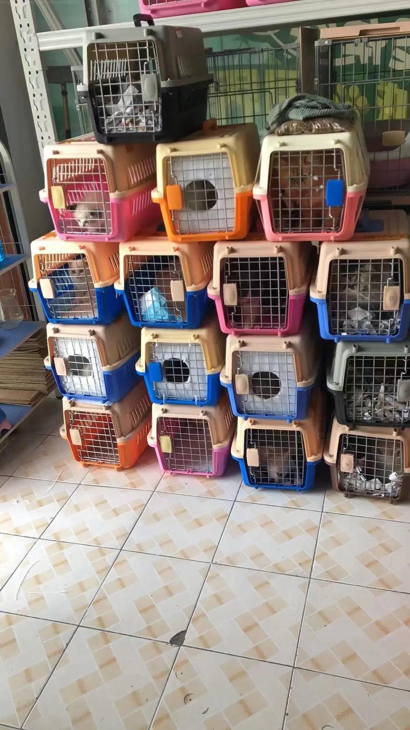 坐飞机托运狗狗,怎么收费?