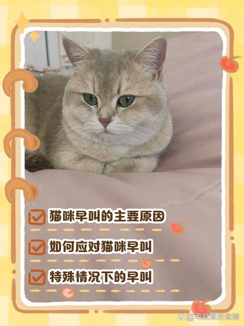 5点至6点猫叫要警惕