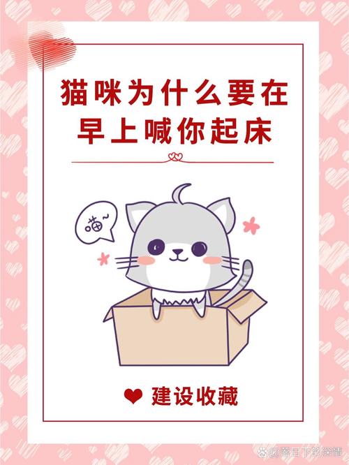 为什么猫早上叫人起床