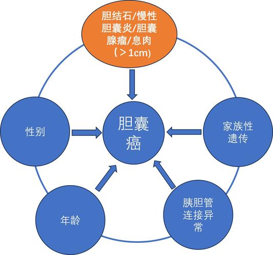 狗狗得了支气管炎怎么办